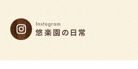 bnrhalf_insta_bg